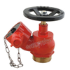 Bronze Hose Valve Fire Hydrant Valve (DW-FV004)