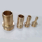 Polished Brass Straight Hose Coupling