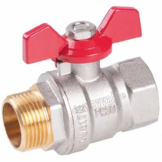 Pn30 Forged Brass Ball Valve （DW-B202）