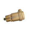 Low Price Air Control Valve 10bar Design Automatic Air Vents (DW-VV005)